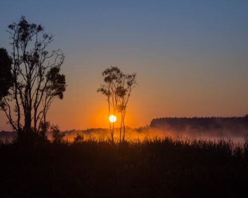 Queensland-Biloela-Location (45)